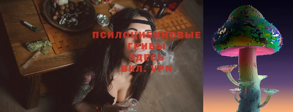 амф Богородицк