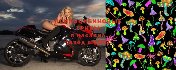 твердый Богданович