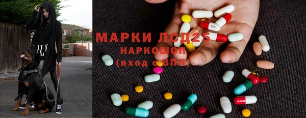 твердый Богданович