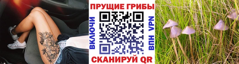 Псилоцибиновые грибы мухоморы Щучье